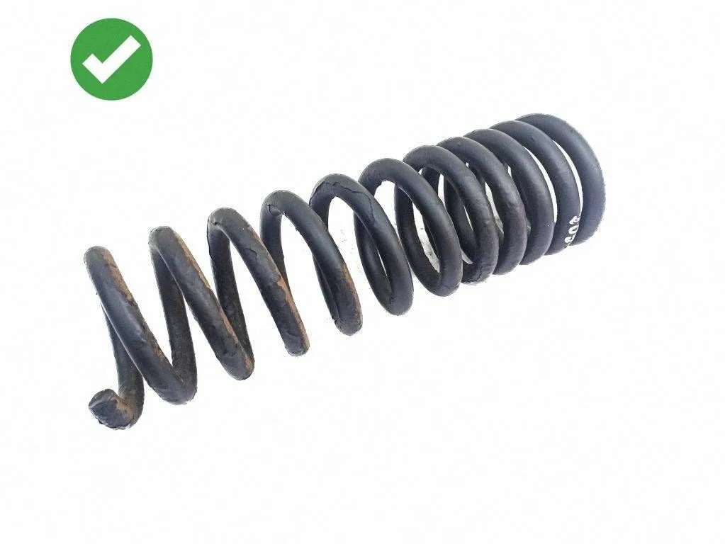 Rear coil spring