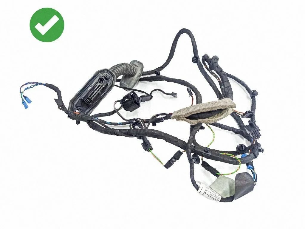 Front door wiring loom 9291048