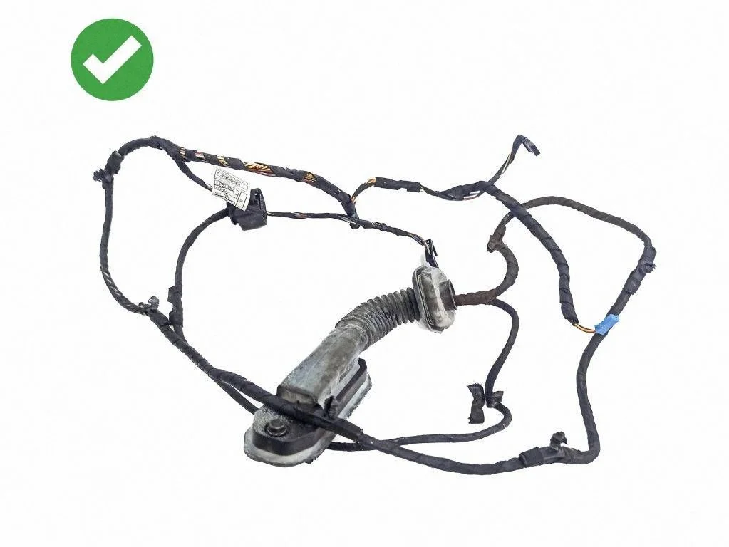 Rear door wiring loom 9291064