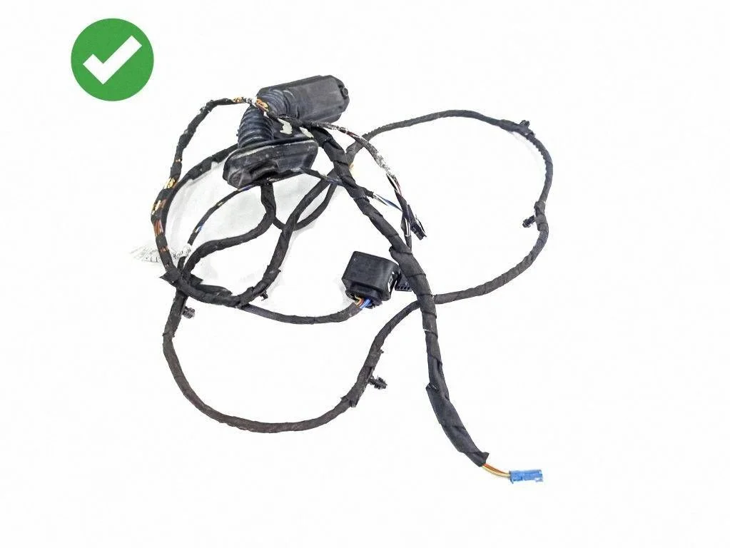 Front door wiring loom 9169241