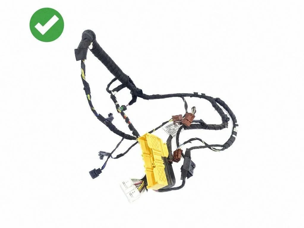 Front door wiring loom 4380893