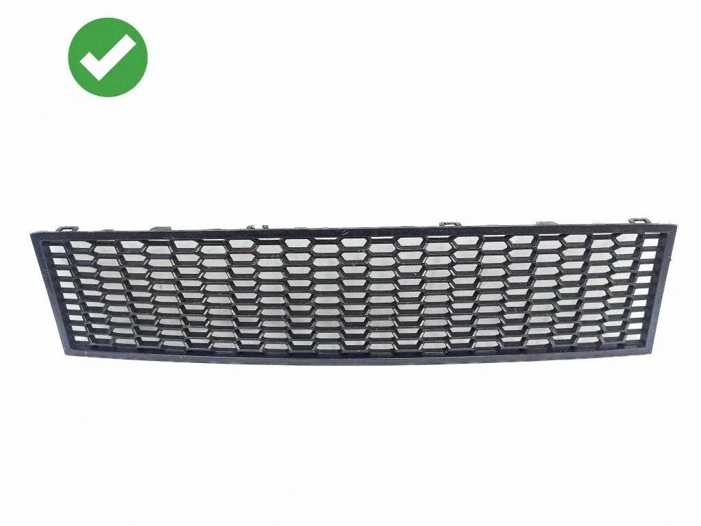 Front bumper lower grill 7903894