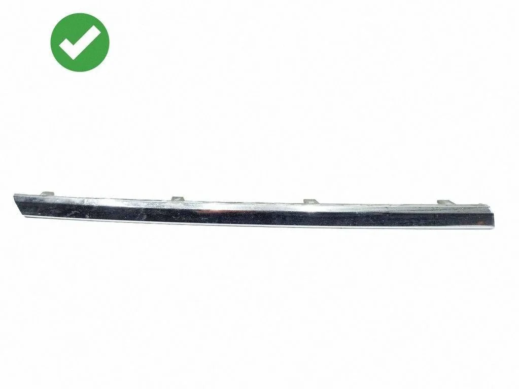 Front grill A2518881085