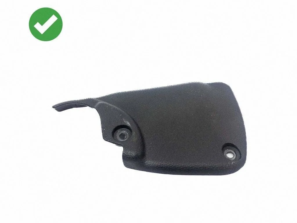 Seat trim A2519384110