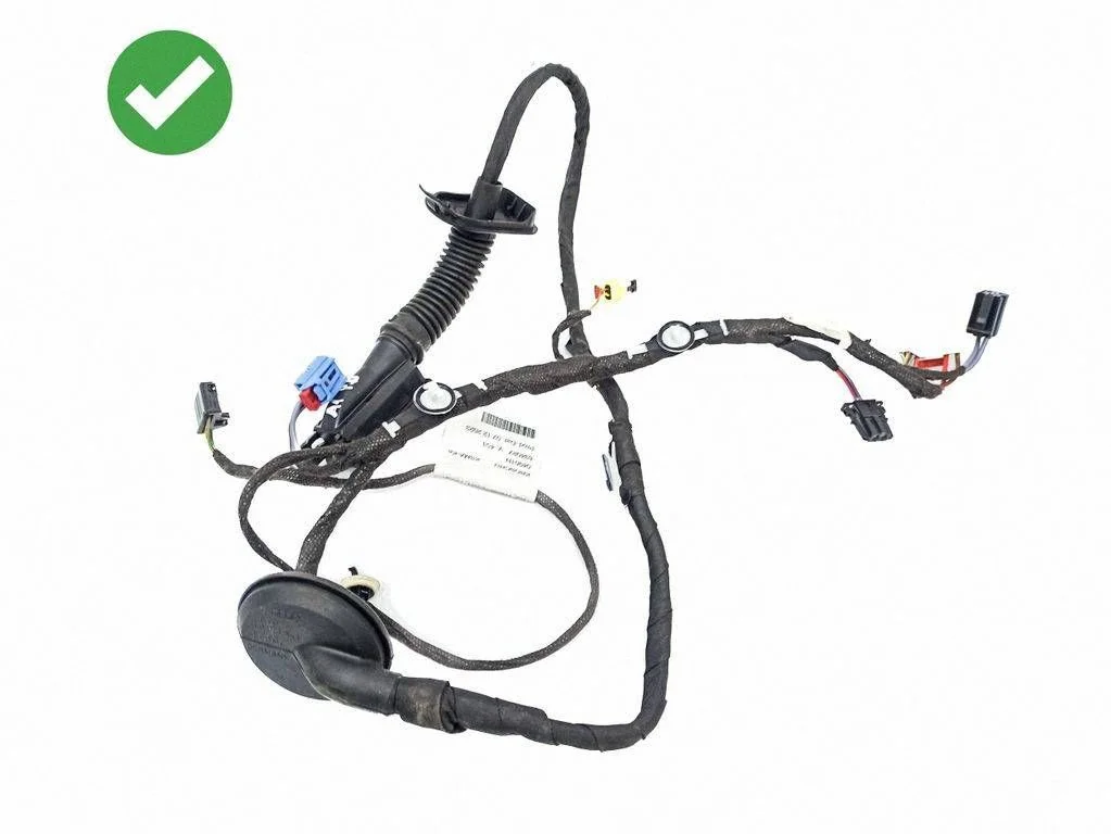 Front door wiring loom 82C971029F