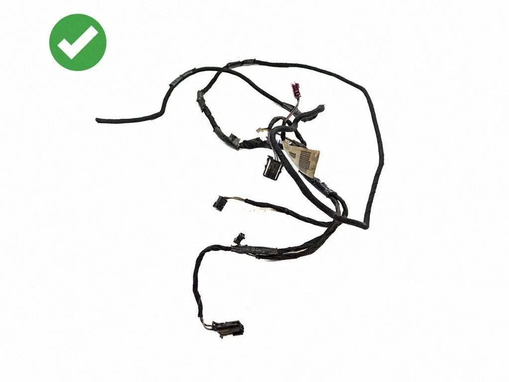 Other wiring loom A2095400008