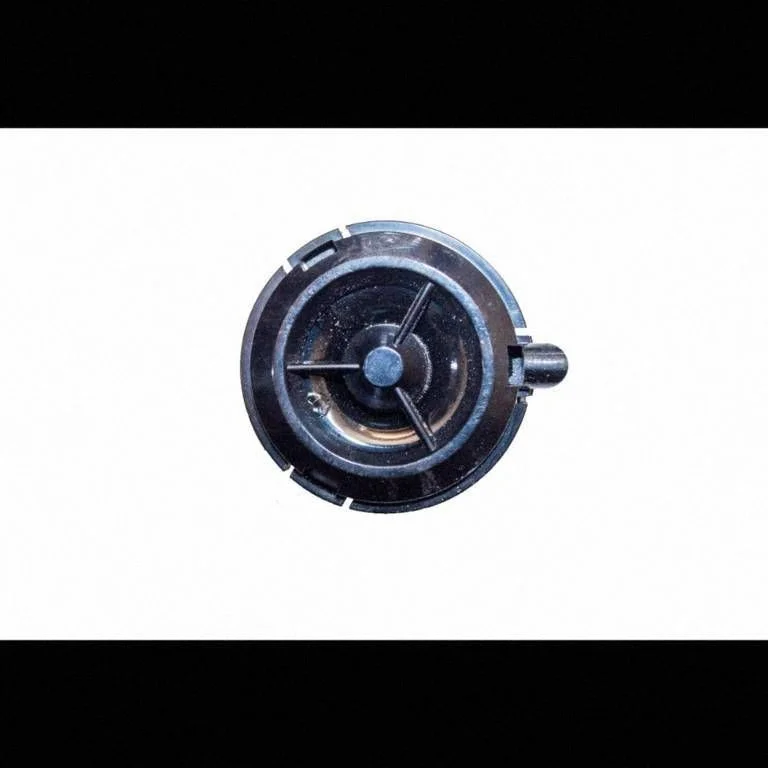 Front door speaker A2118200202