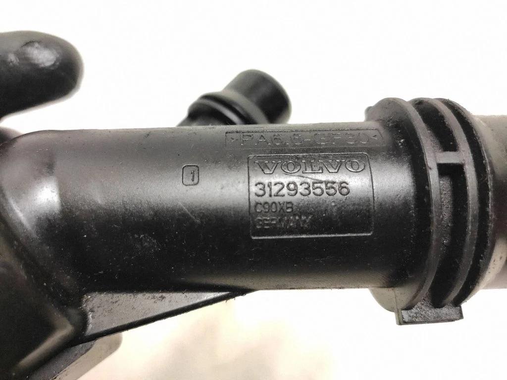 Thermostat/thermostat housing 31293556