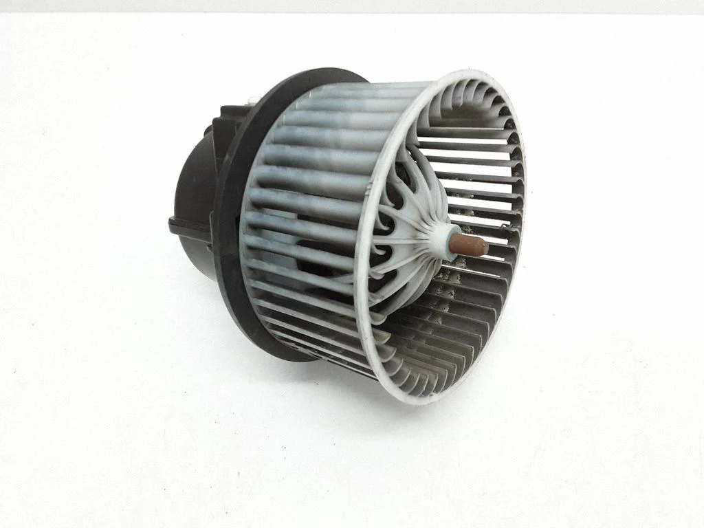 Salongipuhur 6G9N18D413AA