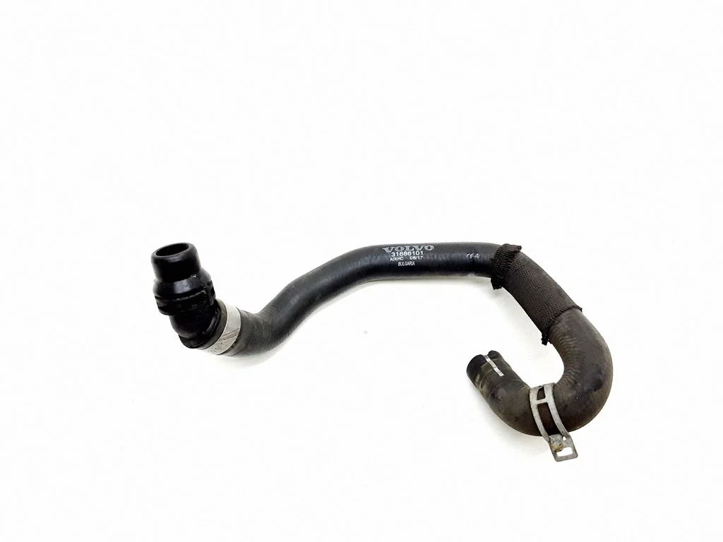 Engine coolant pipe/hose 31686101