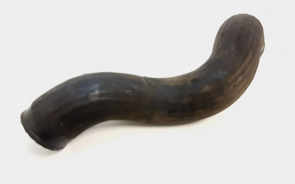 Intercooler hose/pipe 30766440