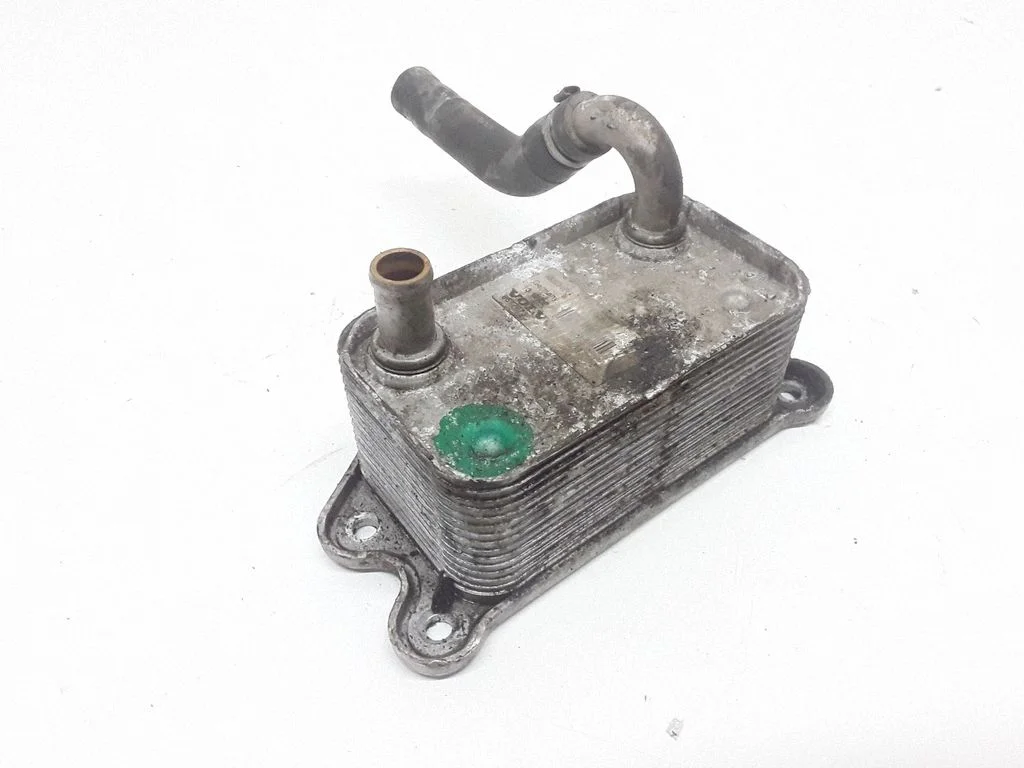 Mootoriõli radiaator 8677973