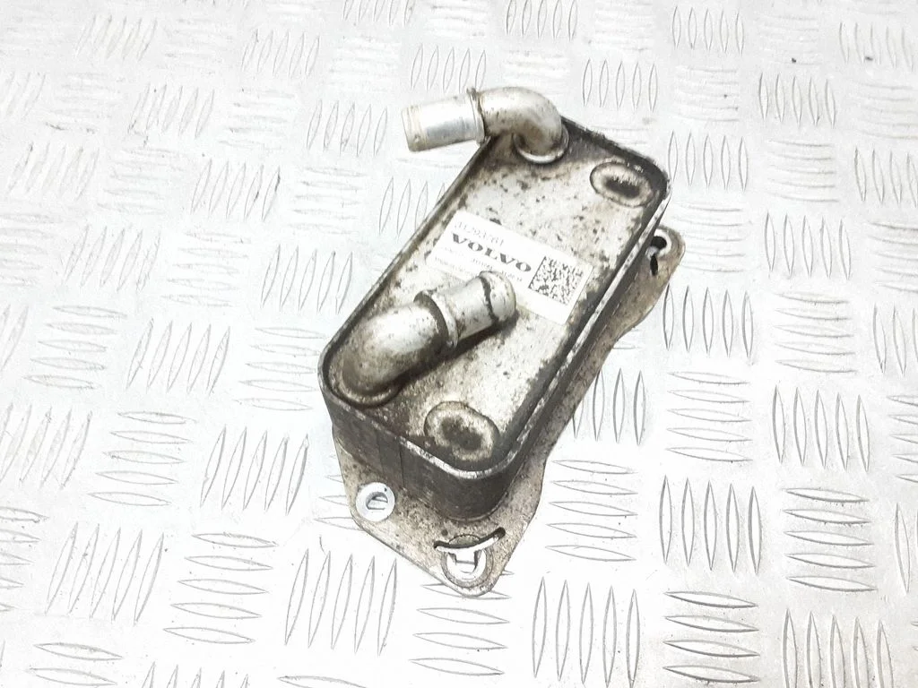 Mootoriõli radiaator 31293761