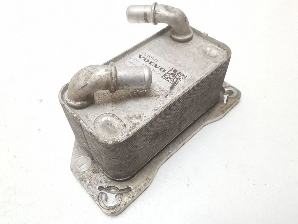 Mootoriõli radiaator 31293761