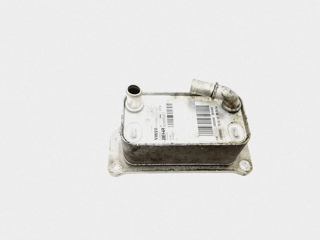 Mootoriõli radiaator 31325045