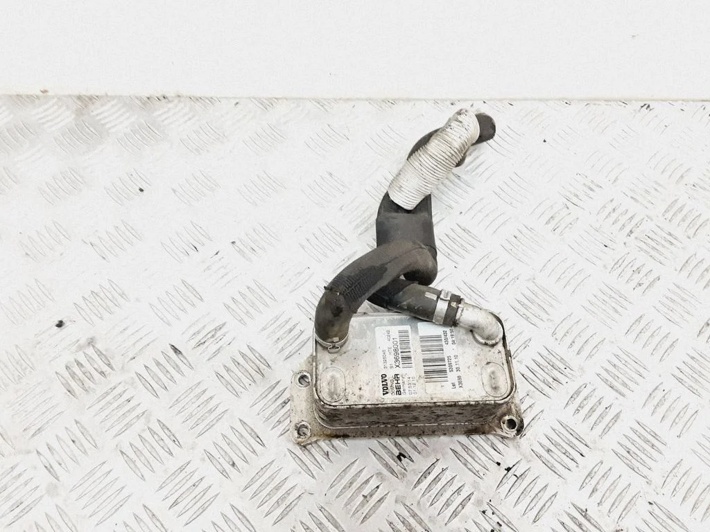 Mootoriõli radiaator 31325045