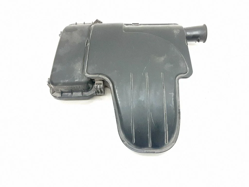 Air filter box 177050Q010