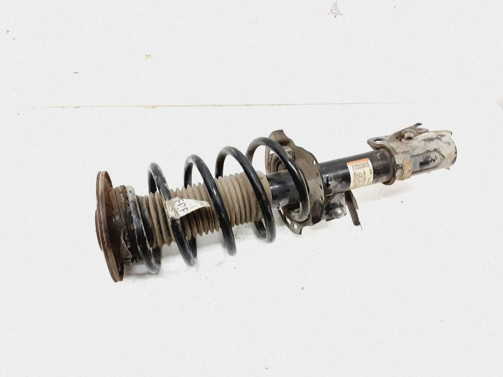 Front shock absorber/damper – left