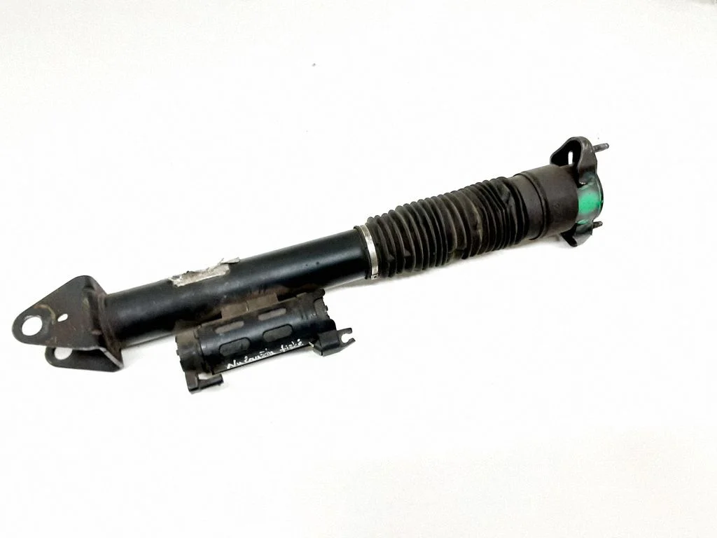Rear shock absorber/damper A1663260498