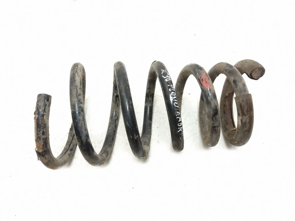 Rear coil spring