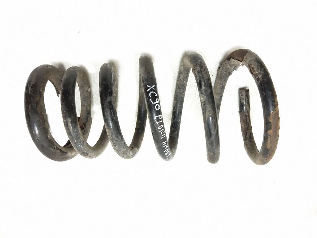 Rear coil spring