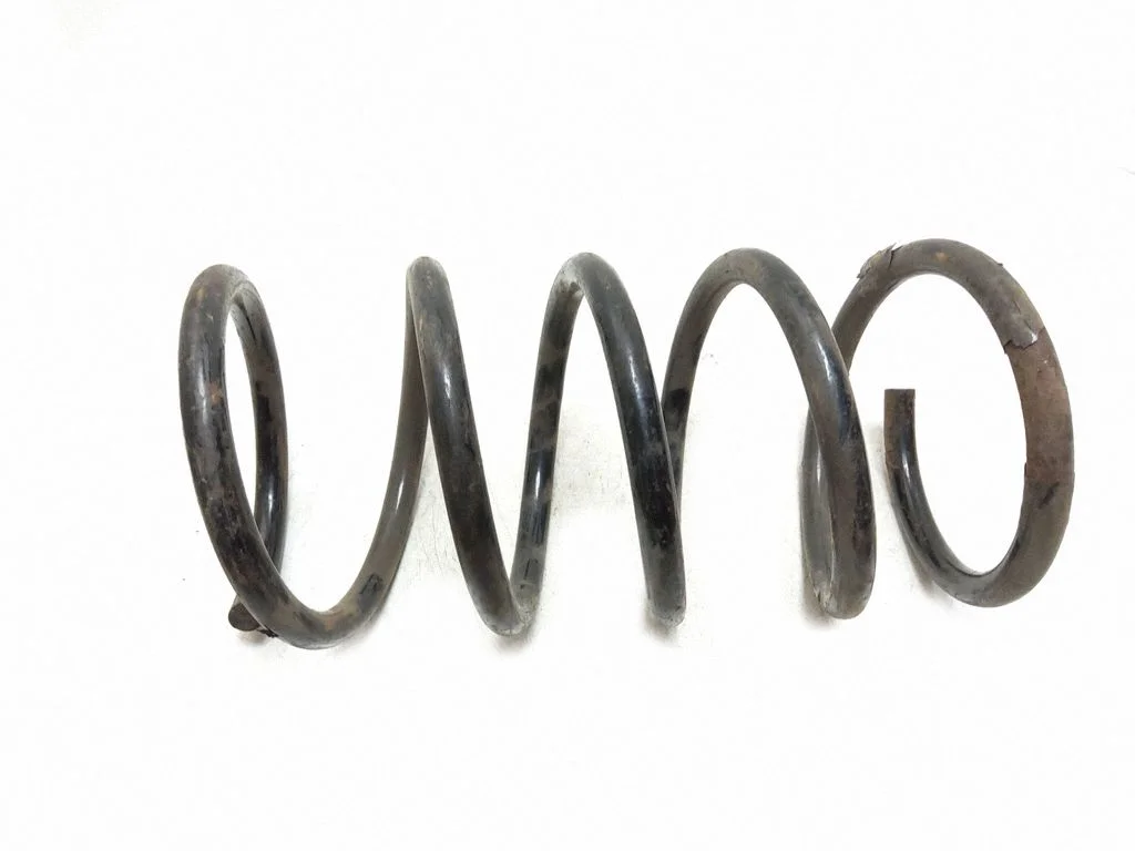 Rear coil spring