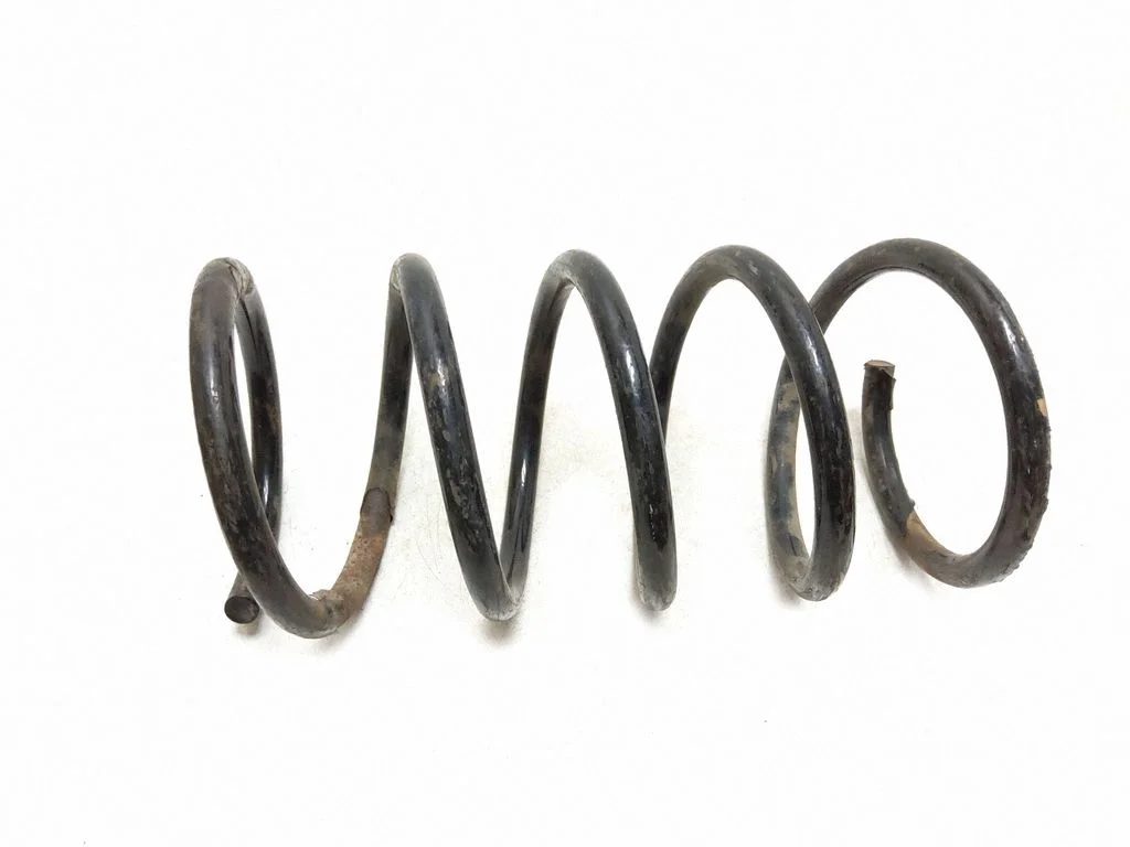 Rear coil spring