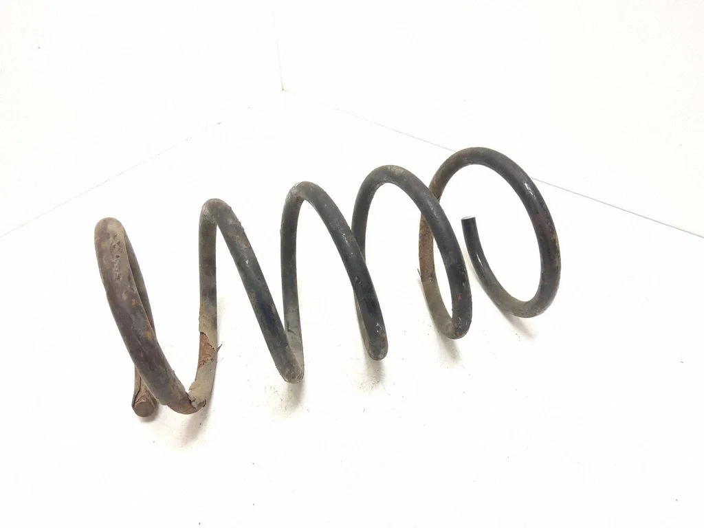 Rear coil spring