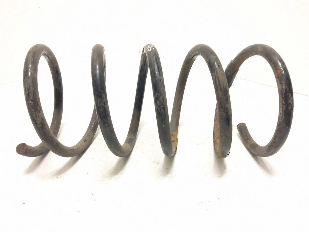 Rear coil spring