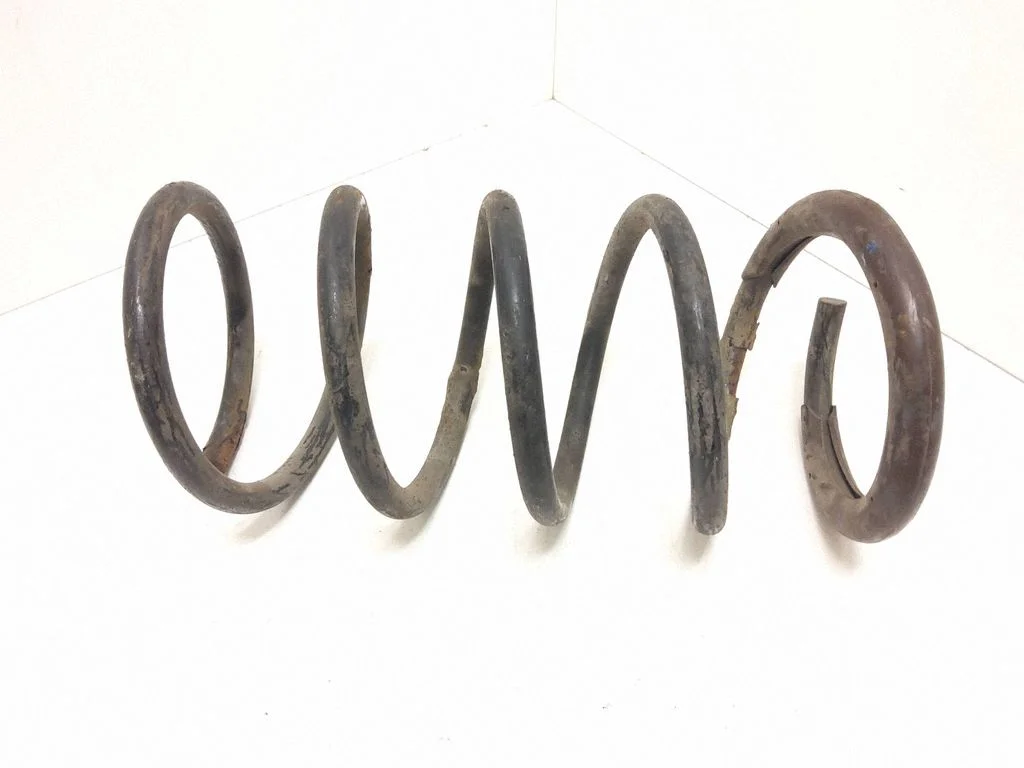 Rear coil spring