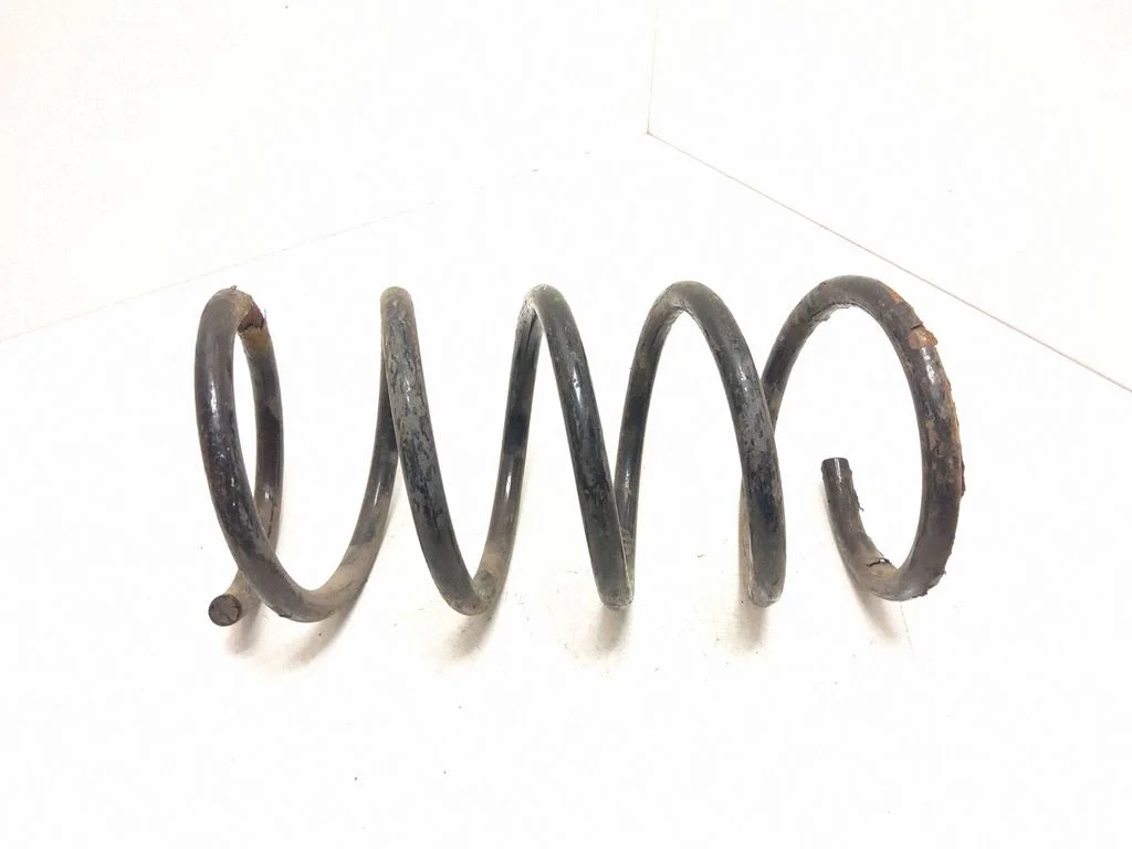 Rear coil spring