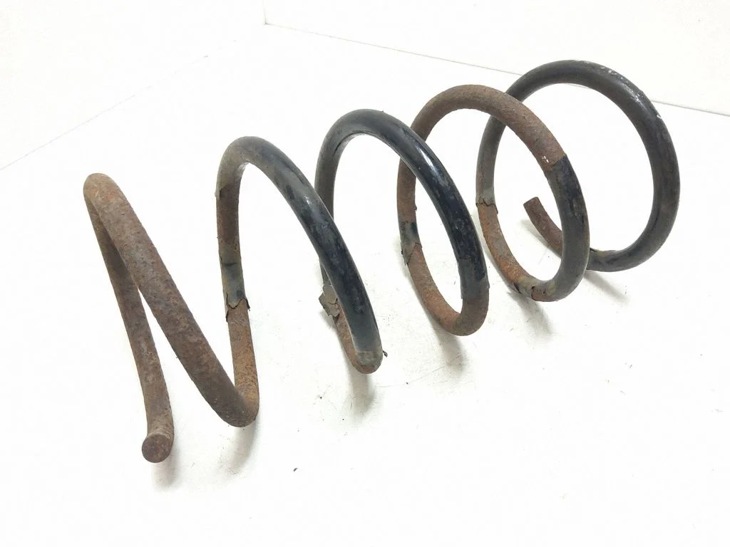 Rear coil spring