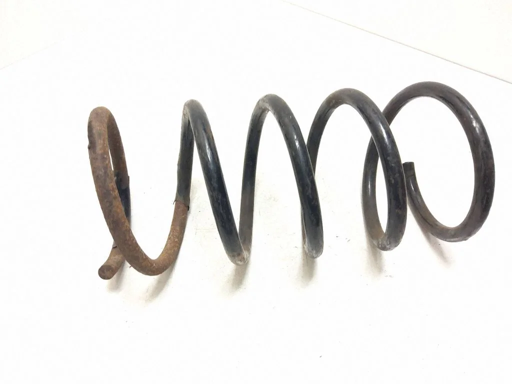 Rear coil spring