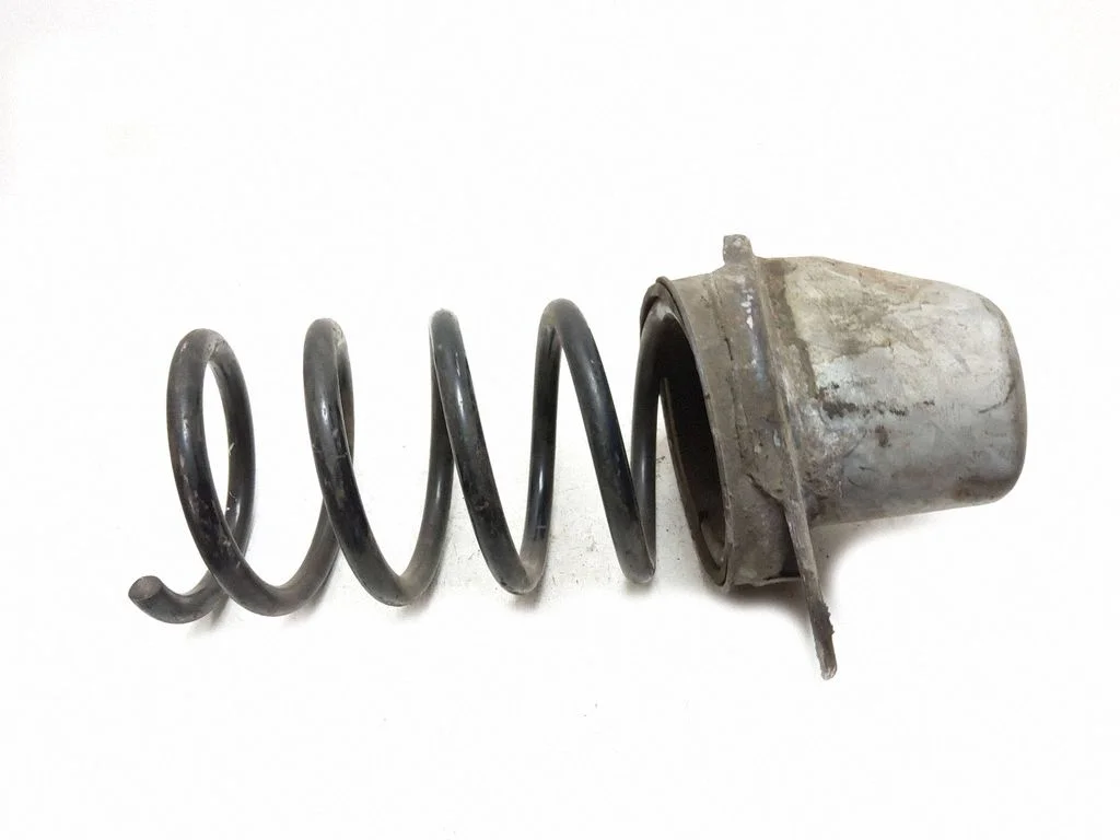 Rear coil spring