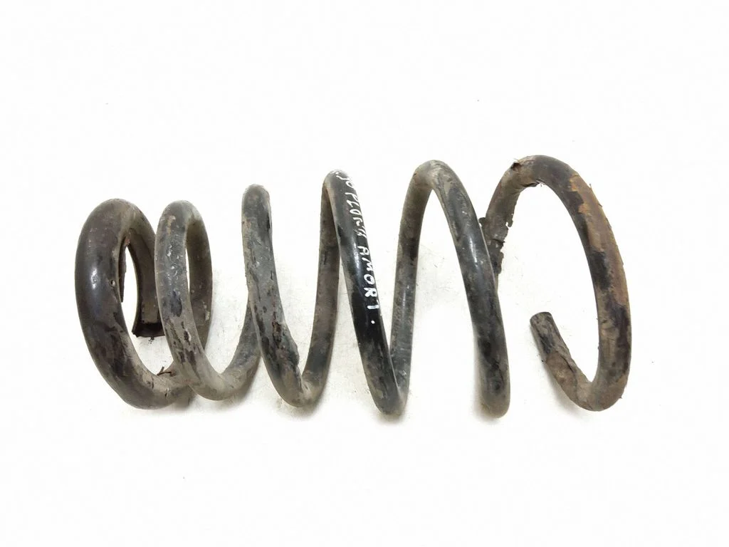 Rear coil spring