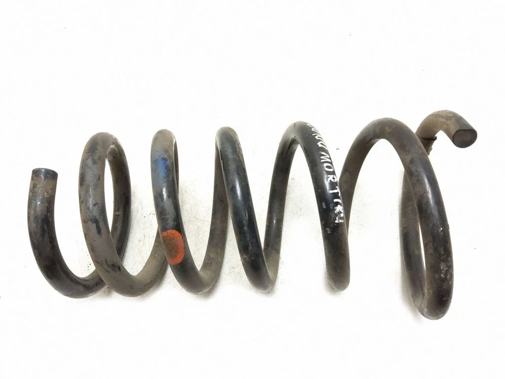 Rear coil spring