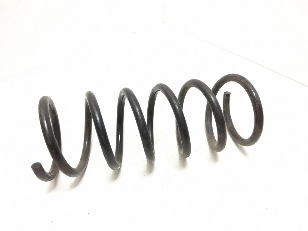 Rear coil spring