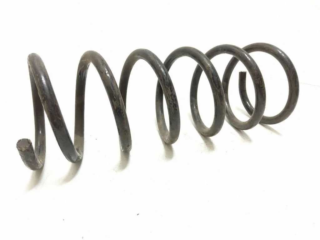 Rear coil spring