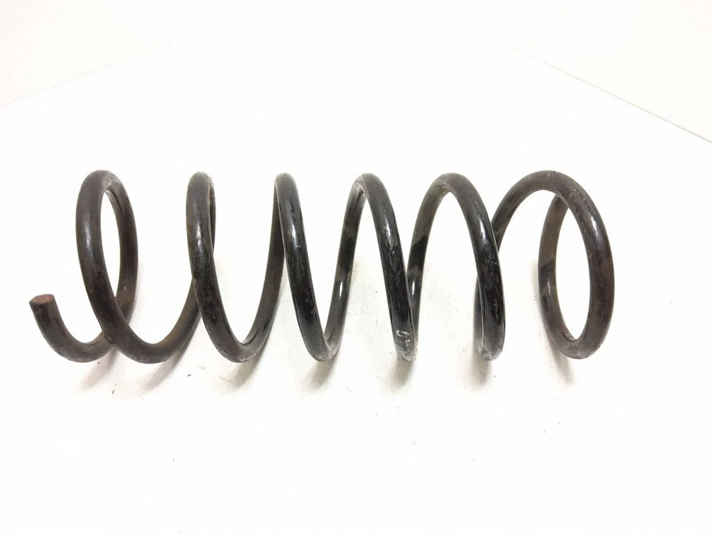 Rear coil spring