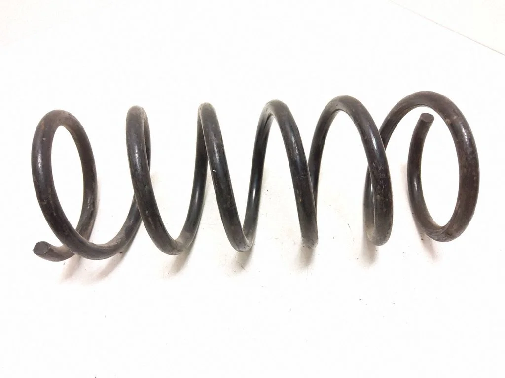 Rear coil spring