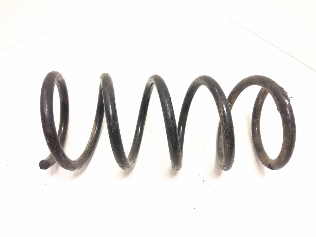 Rear coil spring