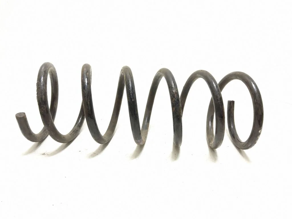 Rear coil spring