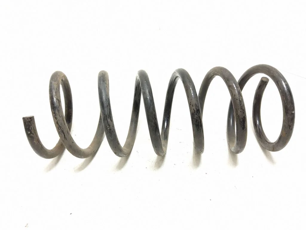 Rear coil spring