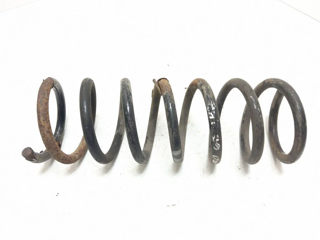 Rear coil spring