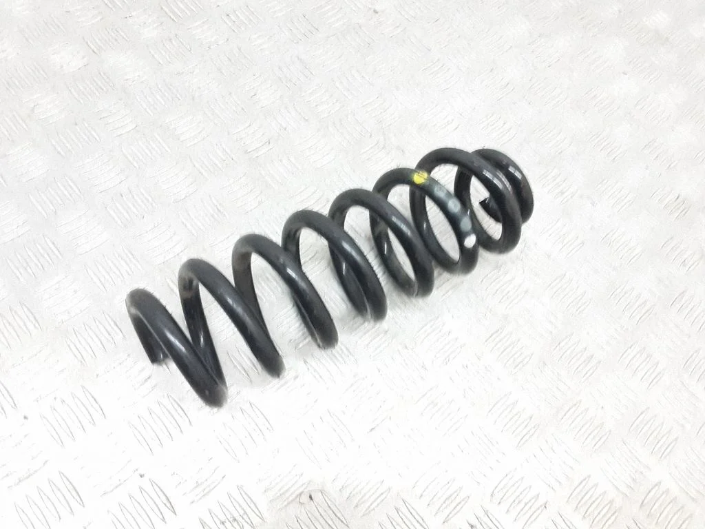 Rear coil spring