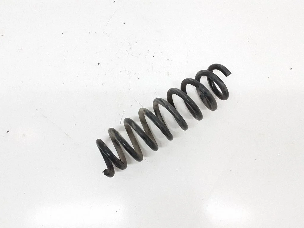 Rear coil spring