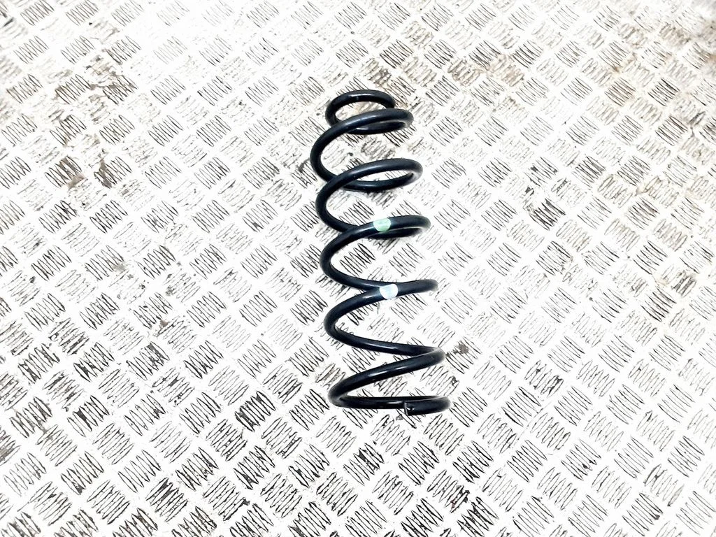 Rear coil spring