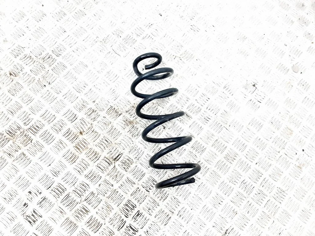 Rear coil spring