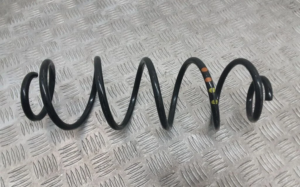Rear coil spring