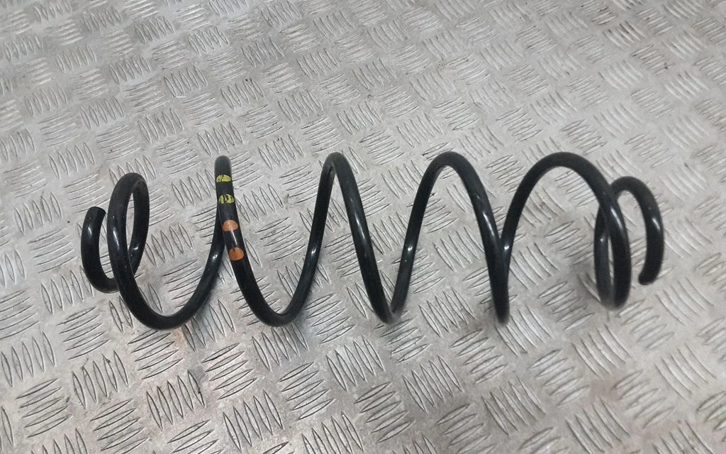 Rear coil spring